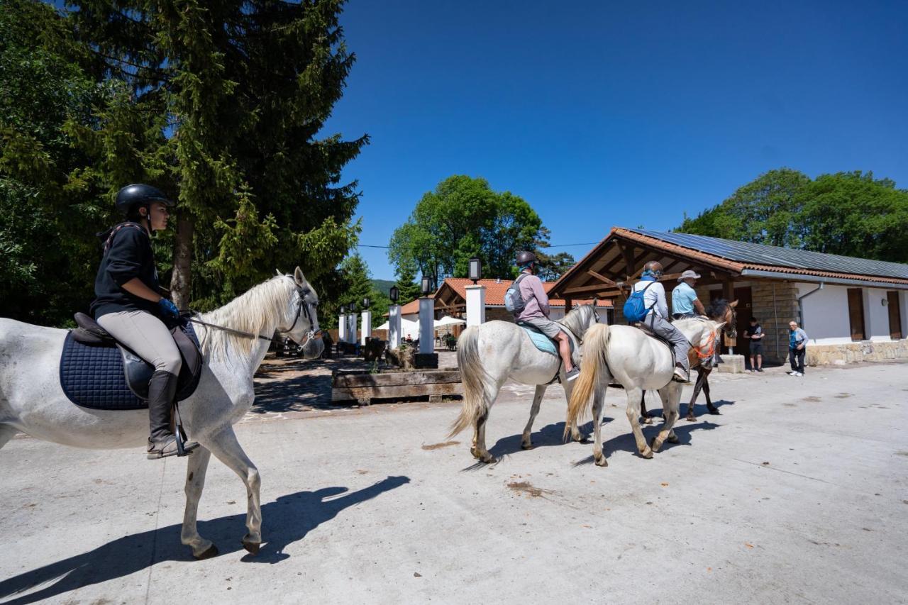 Kampaoh Sierra de Urbasa Hotel Bacáicoa Eksteriør billede